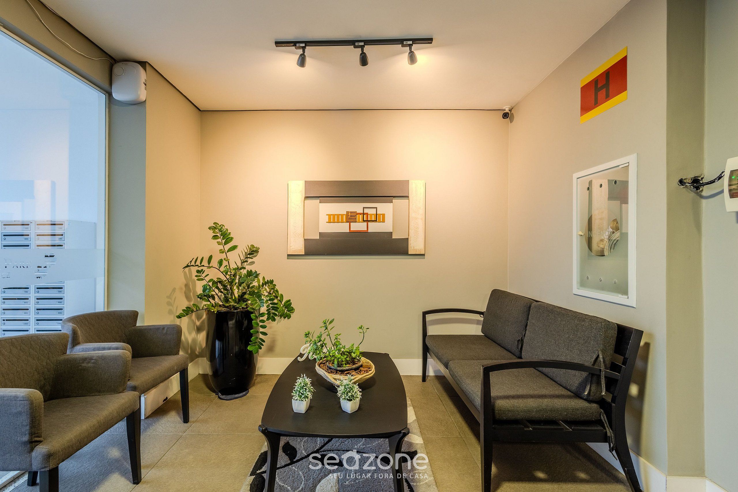 A modern living room with a sofa, chairs, a coffee table, and a potted plant.