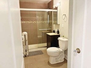 Shower, hair dryer, towels