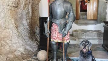 Une statue de pierre représentant un chevalier en armure, avec un chien à ses côtés.