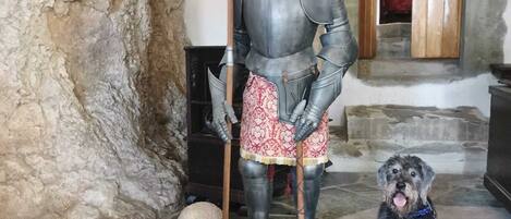 A stone statue of a knight in armor with a dog beside it.