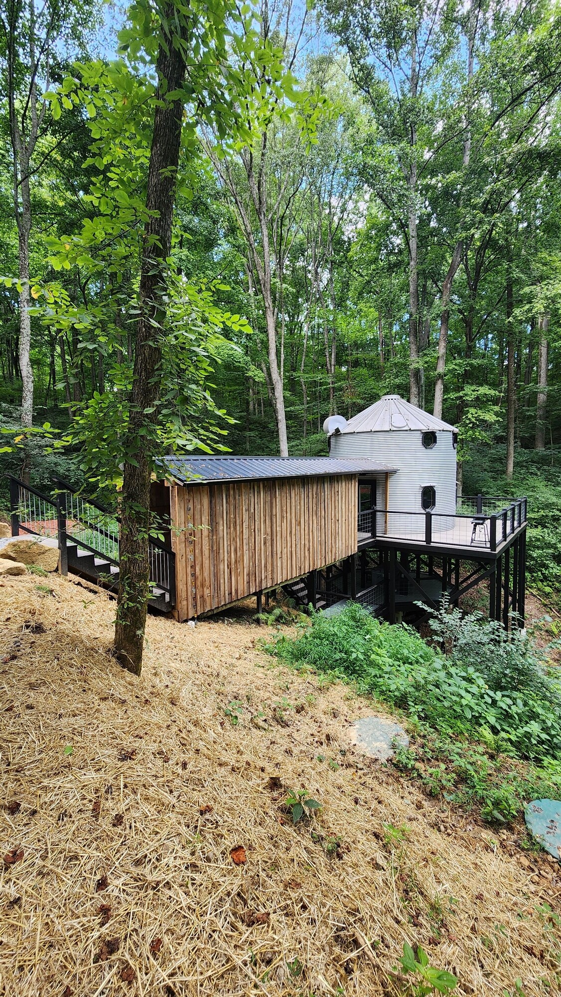 Værtens profilbillede