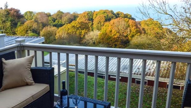 A balcony with a wicker sofa and a glass table, overlooking a garden with autumn trees. - I C Lundy Too (Bideford)