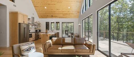 TV, fireplace, video games, offices