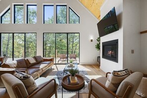 TV, fireplace, video games, offices