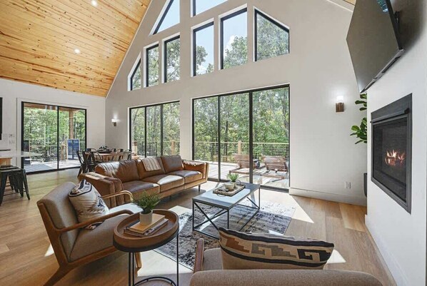 Télévision, cheminée, jeux vidéo, espaces bureaux