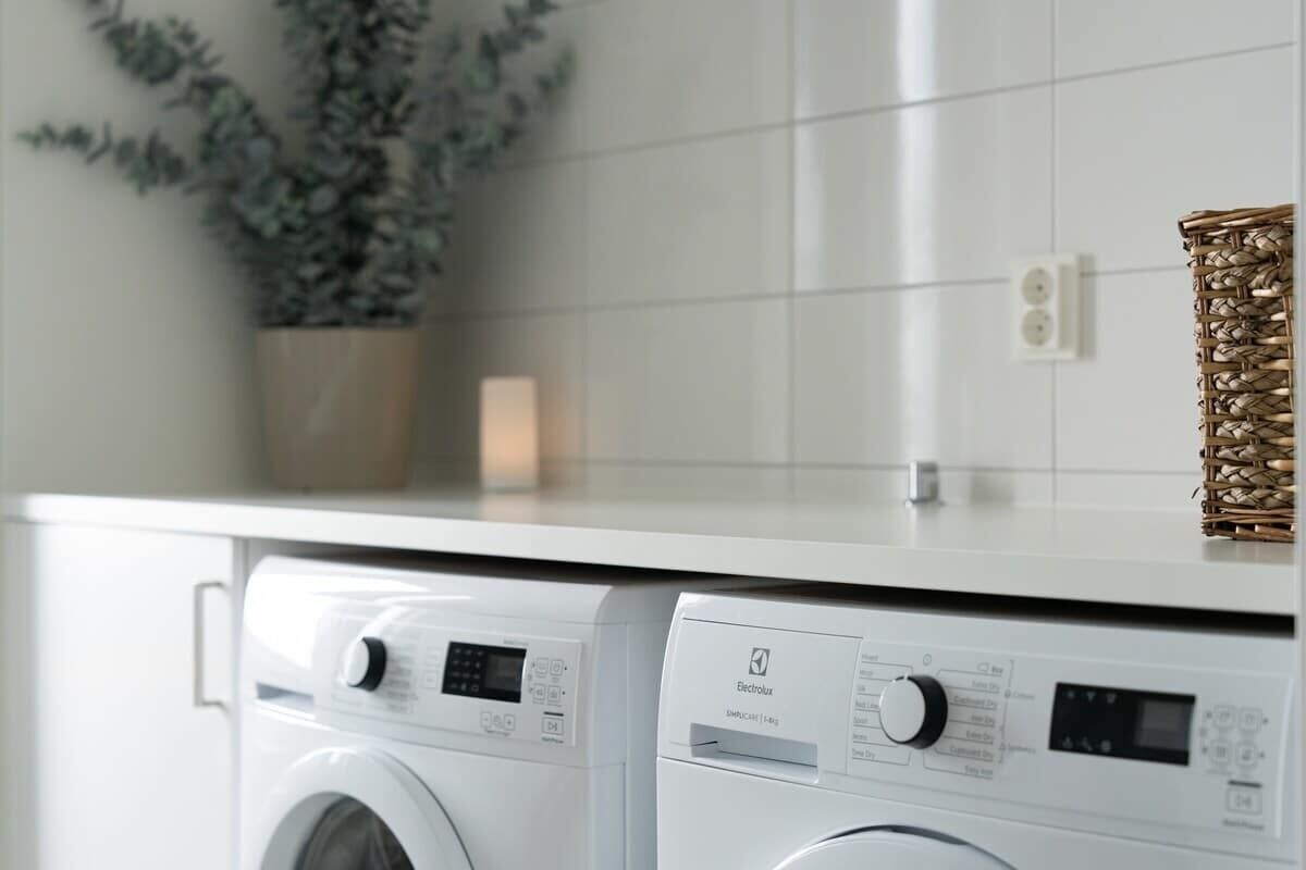 Un espace buanderie moderne avec deux machines à laver blanches et une plante en pot.