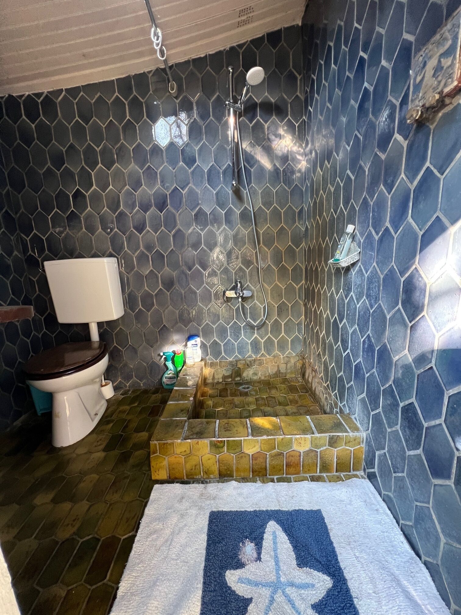 Dusche, Handtücher, Seife, Toilettenpapier