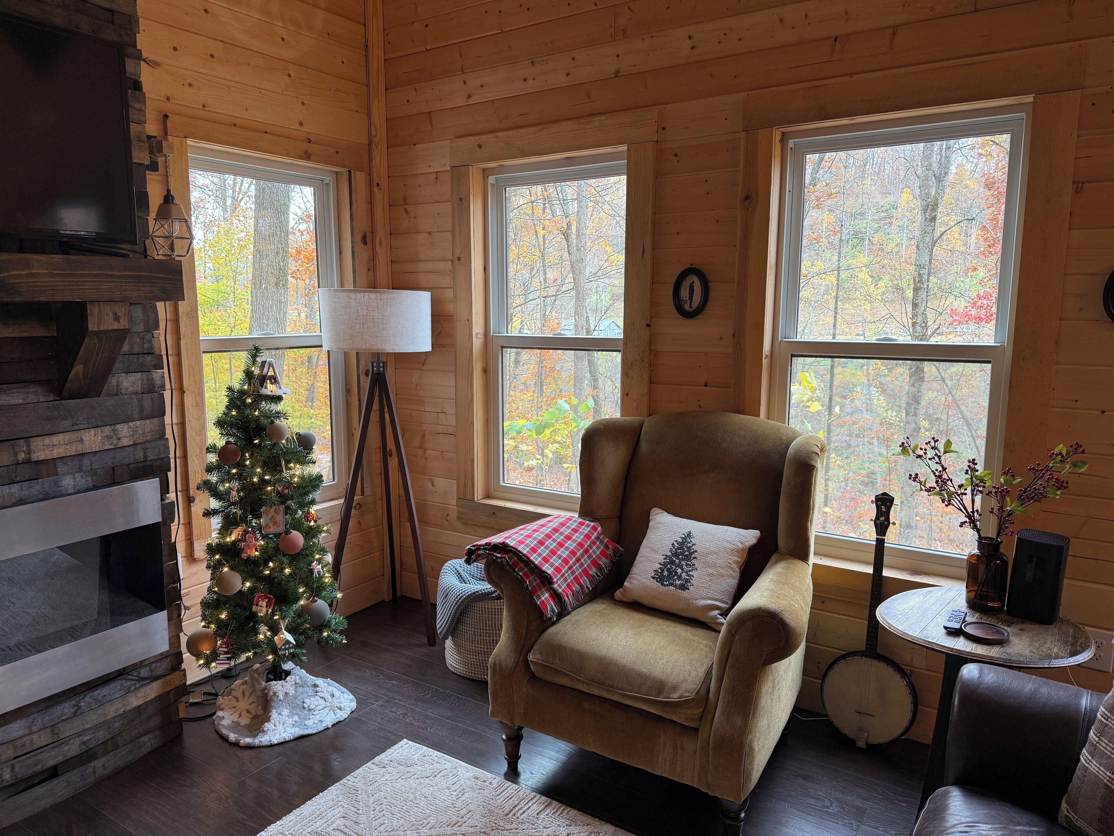 Smart-TV, peis og bøker