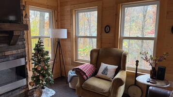 Smart TV, lareira, livros