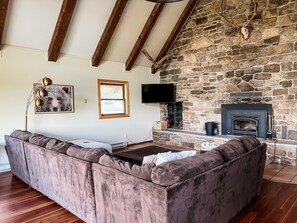 Smart TV, fireplace, books