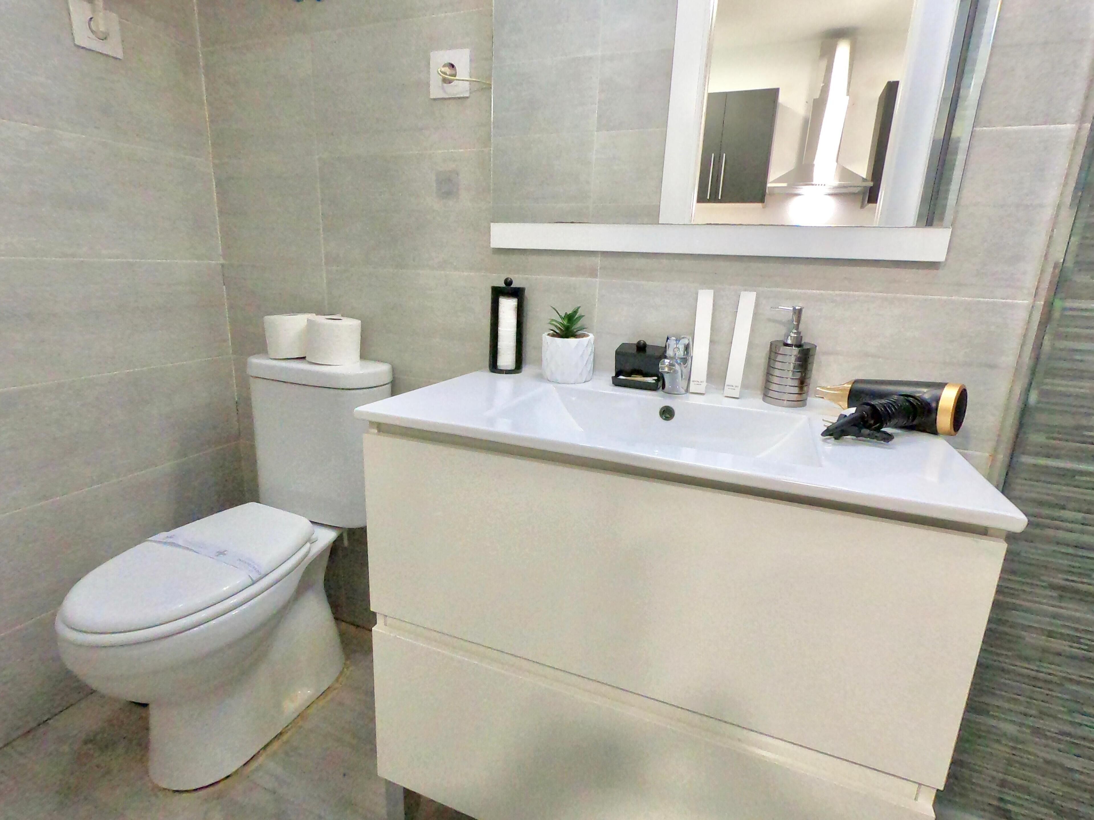 Un bany modern amb un vàter blanc, un lavabo amb un mirall damunt i una petita planta en maceta a la superfície.