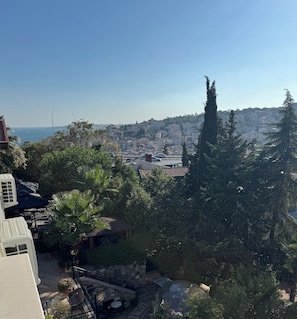 Vista del balcón