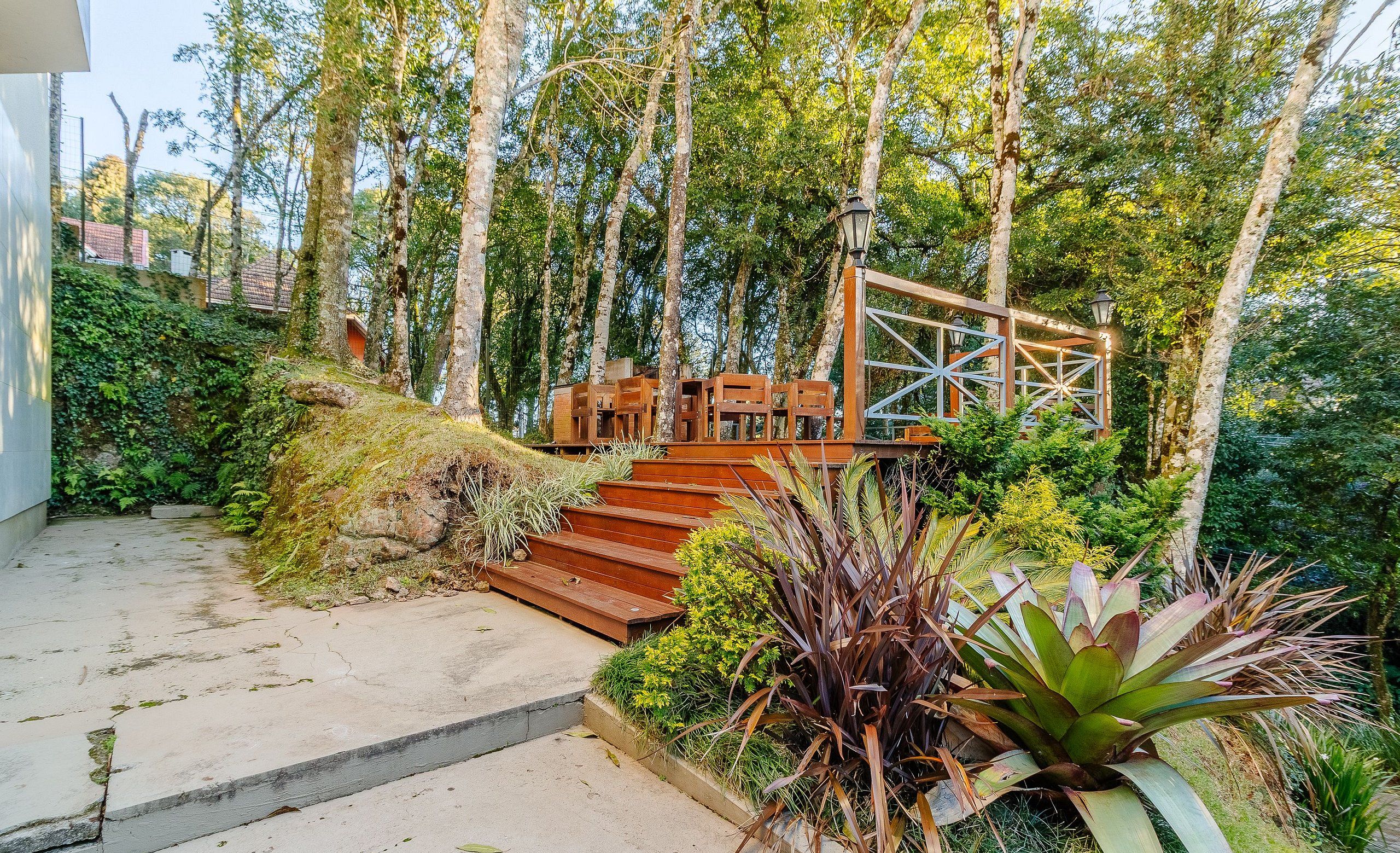 Una escalera de madera conduce a un espacio cubierto con asientos, rodeado de abundante follaje y árboles.