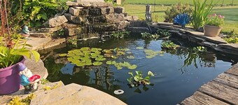 Escape The City At Greenly's Getaway