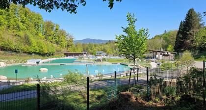 Large vacation apartment with terrace at the entrance to the northern Black Forest. Quiet residential area