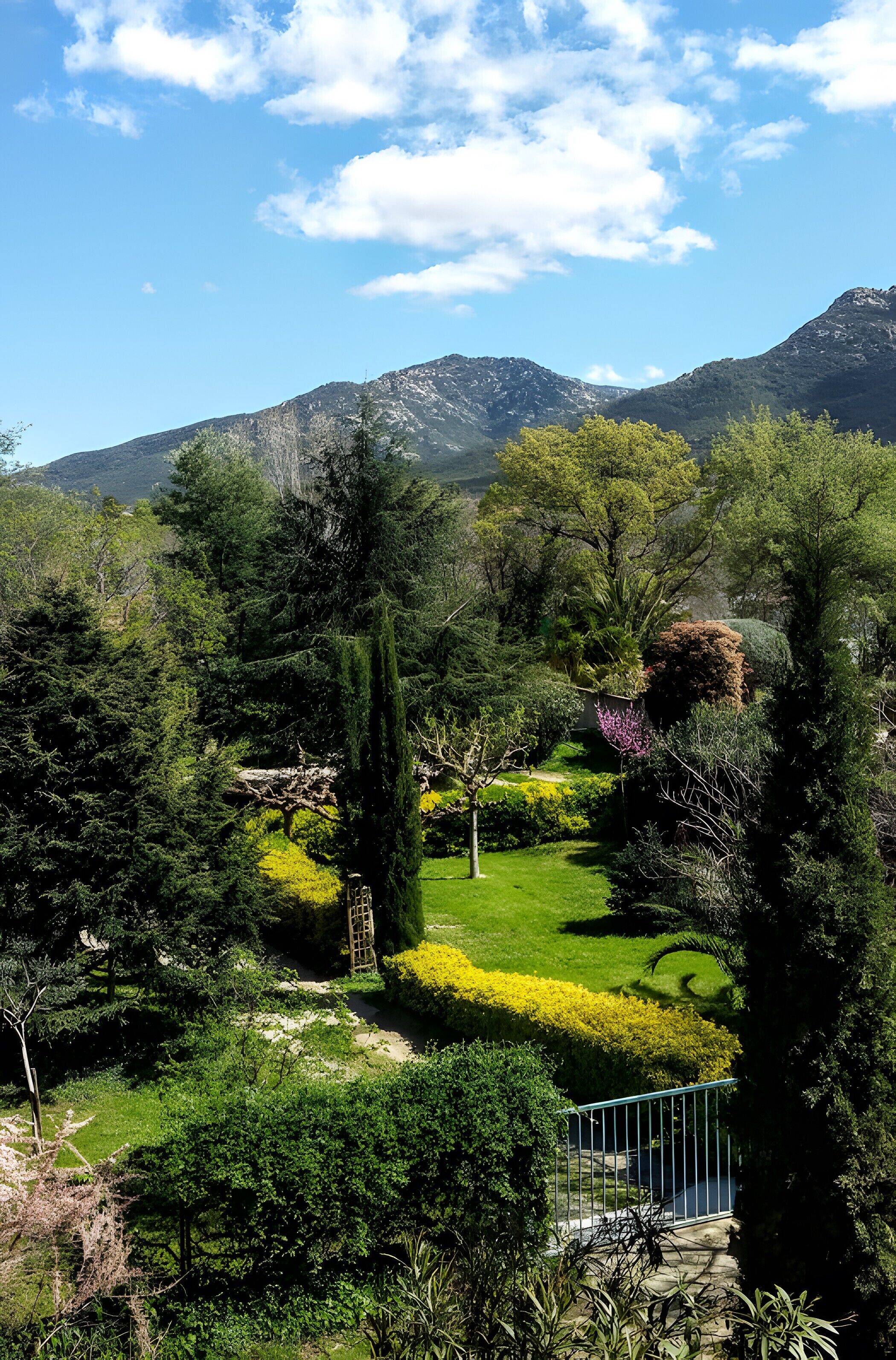 A lush garden with a variety of trees, a small water feature, and a clear view of distant mountains.