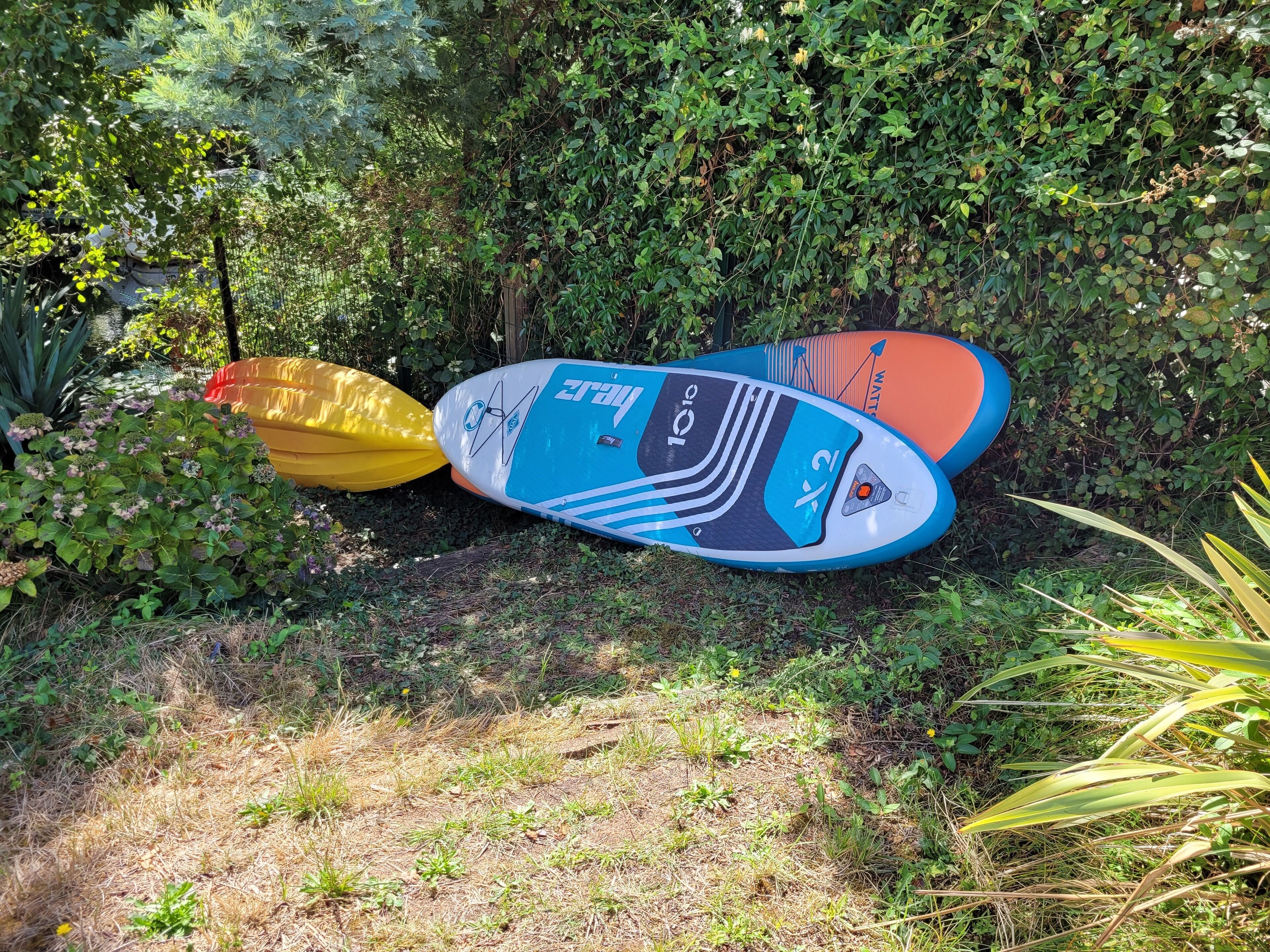 Three paddleboards in a natural setting with dense foliage.
