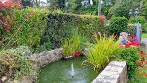 Un jardín con un estanque, muros de piedra y diversas plantas.