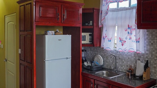 A compact kitchen with wooden cabinets, a refrigerator, a microwave, and a sink. - 2-bedroom apt with AC in Roseau close to ferry tml, supermarkets, buses etc (Roseau)