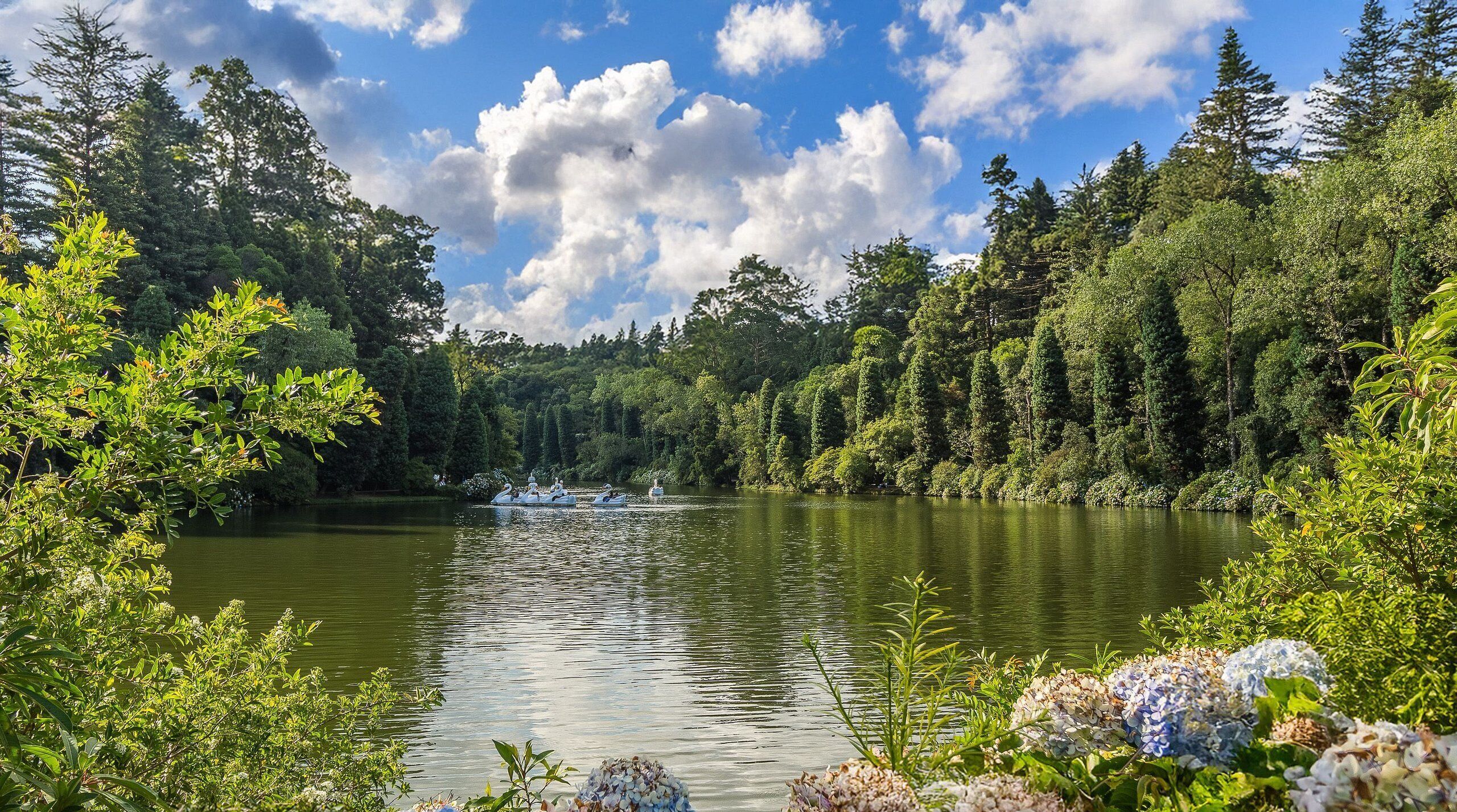 Un lago tranquilo rodeado de un bosque denso, con una barca visible en el agua.
