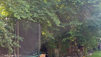 A trampoline and two lounge chairs in a grassy area with dense foliage in the background.