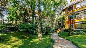 Un sendero conduce a un edificio amarillo rodeado de abundante vegetación y árboles.
