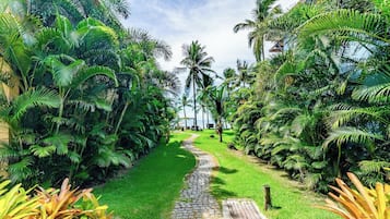 A pathway leading through a lush garden with palm trees and tropical plants.