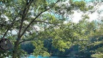 Àrea exterior de l'allotjament