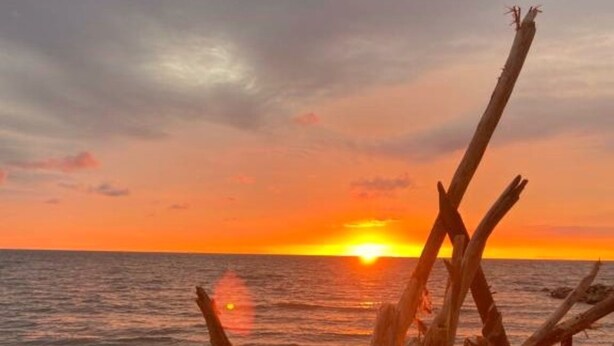 A sunset over the ocean with a pile of driftwood in the foreground.