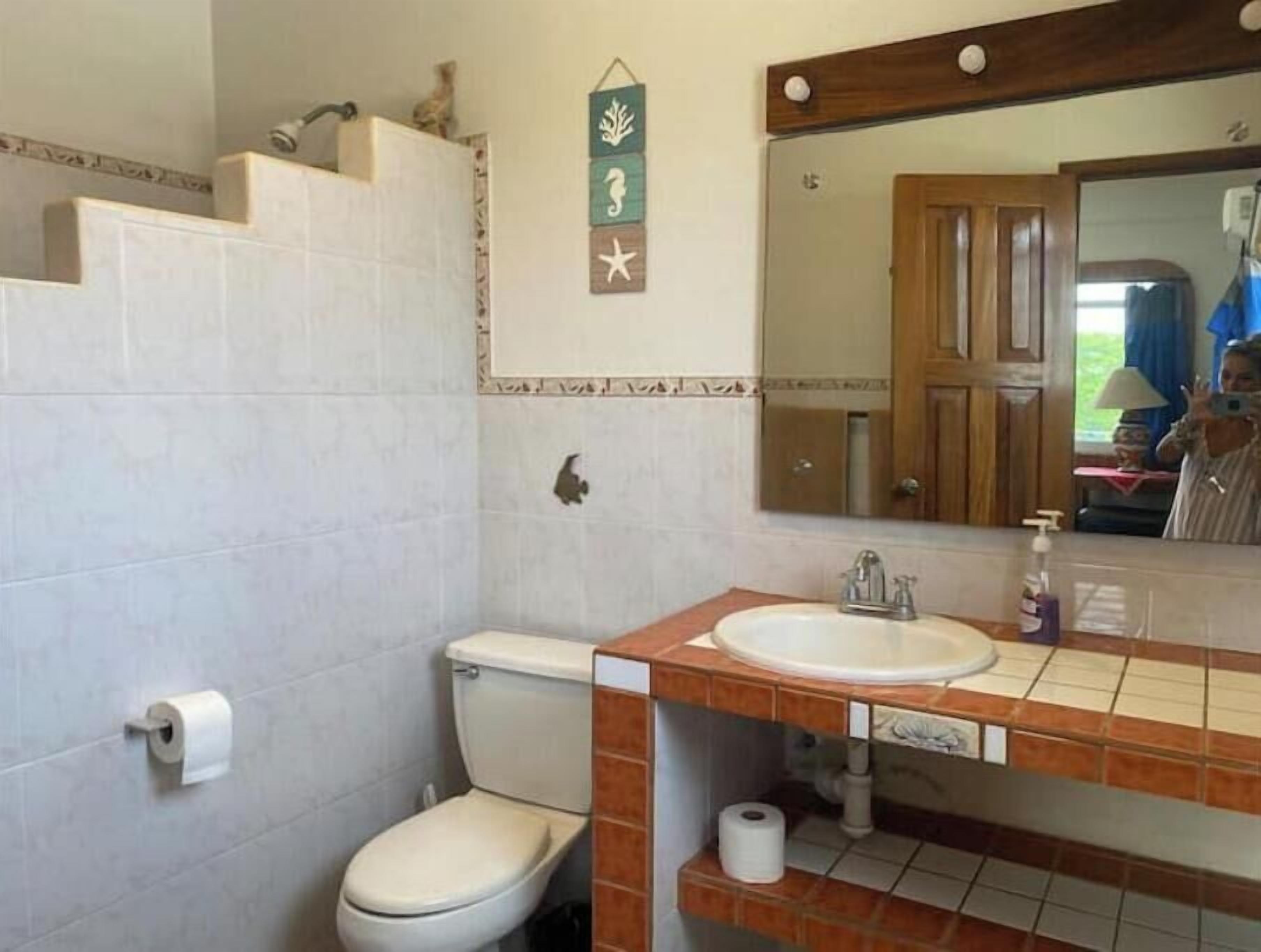 A bathroom with a toilet, sink, and mirror. There is a towel rack above the sink and a small shelf below it.