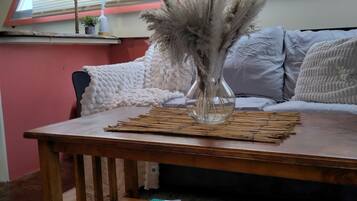 Smart-TV, DVD-Player, Bücher