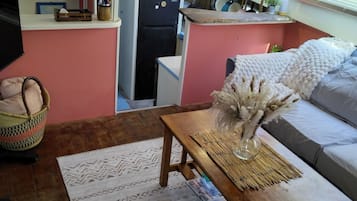 Smart TV, DVD player, books