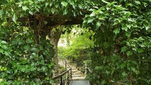 A wooden pathway under a stone archway surrounded by lush greenery. - Spacious 8-bedroom country house in Villepinte with private pool and parking (Villepinte)