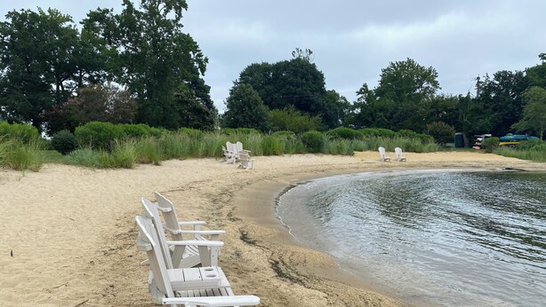 A beach with white Adirondack chairs lined up on the sand, a calm body of water, and dense greenery in the background. - Beautiful 2-bedroom water view house in Annapolis (Annapolis)