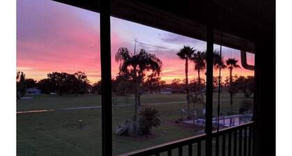 Golf Course Beauty