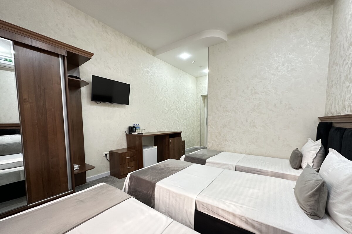 Une chambre d’hôtel avec deux lits, un bureau, une télévision et un miroir.