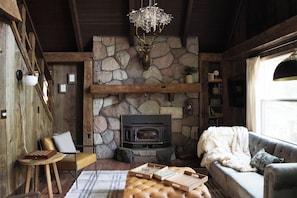 Smart TV, fireplace, books