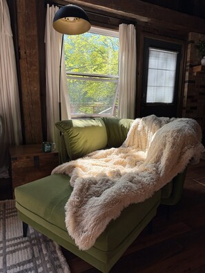 Smart TV, fireplace, books