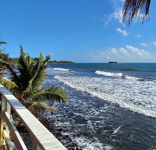 AHONU BEACH STUDIO - Garden and sea