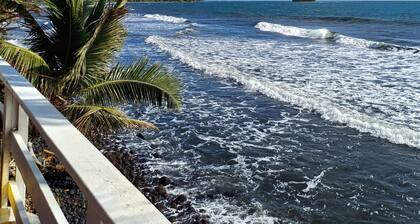 AHONU BEACH STUDIO - Garden and sea