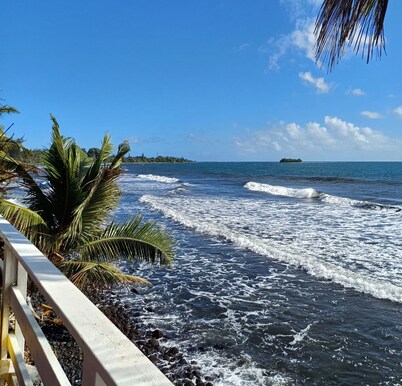 AHONU BEACH STUDIO - Garden and sea