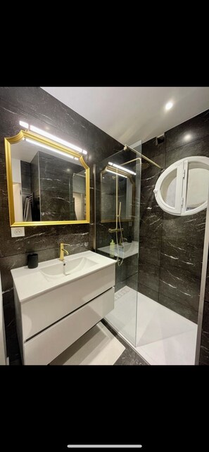 Séchoir à cheveux, serviettes fournies, savon, papier de toilette