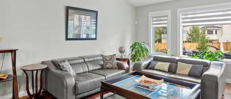 Télévision, cheminée, chaîne hi-fi