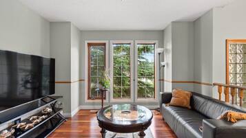 TV, fireplace, stereo