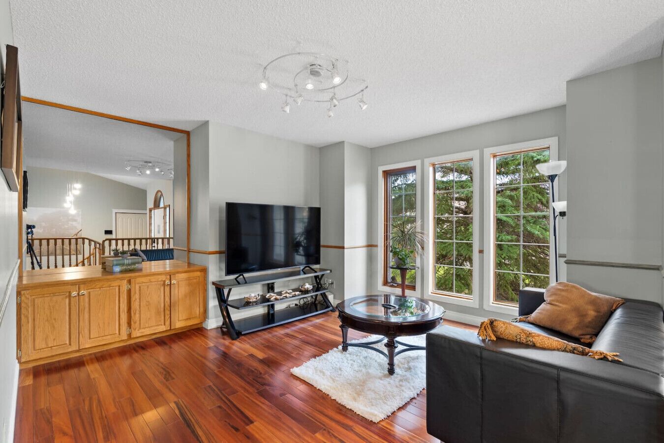 TV, fireplace, stereo