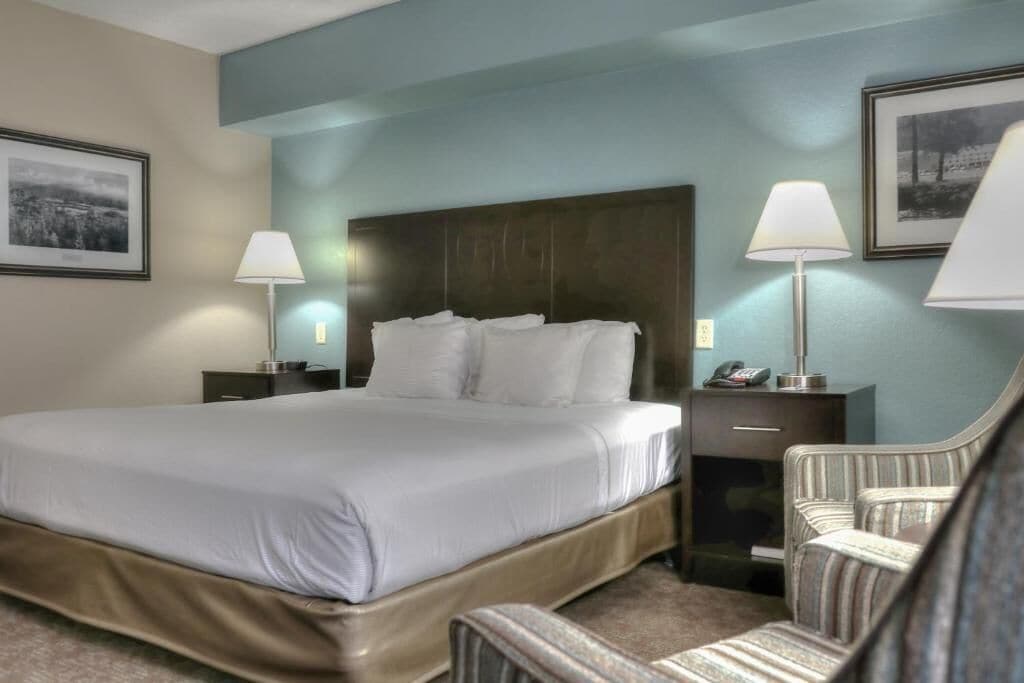 Deluxe Double Room Single Use