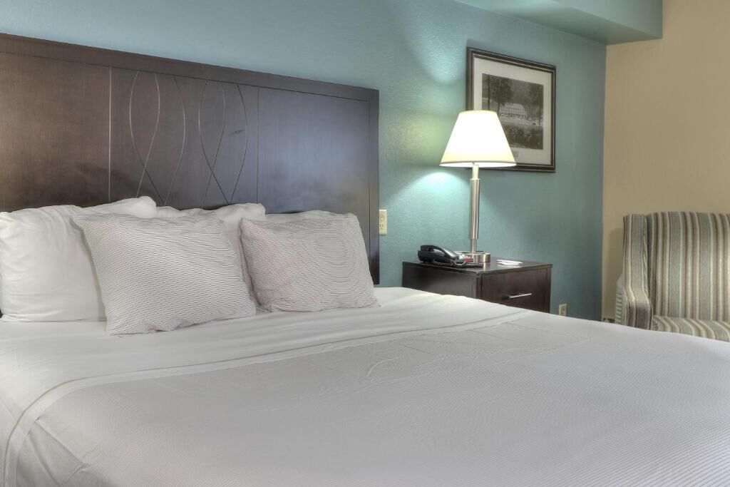 A hotel room with a large bed, a nightstand with a lamp, and a chair.