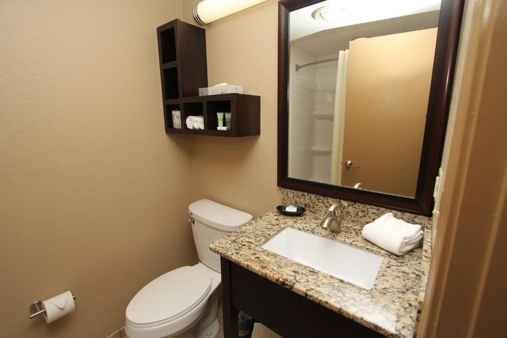 A bathroom with a white toilet, a granite sink, a mirror, and a shelf with toiletries.