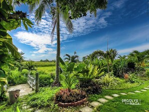 Àrea exterior de l'allotjament