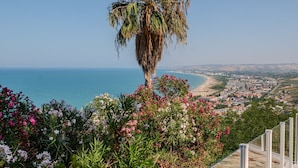Blick auf die Küste mit einer Palme und blühenden Pflanzen im Vordergrund, mit Blick auf eine Stadtlandschaft und das Meer.